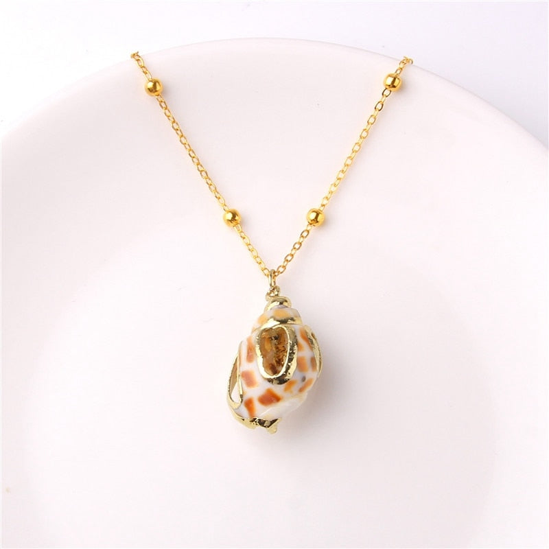 Sea Beach Shell Necklace