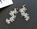 Fashion Trendy Earrings