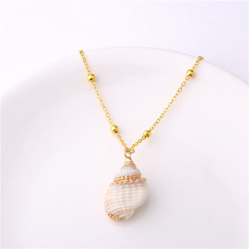 Sea Beach Shell Necklace