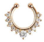 Fancy Ring Hoop